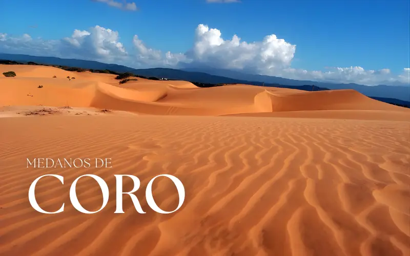 viajar a los Médanos de Coro